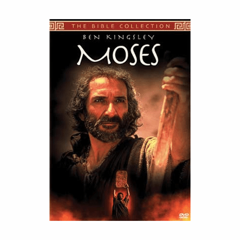 MOSES - TNT PRODUCTION