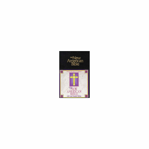 NAB GIFT & AWARD BIBLE