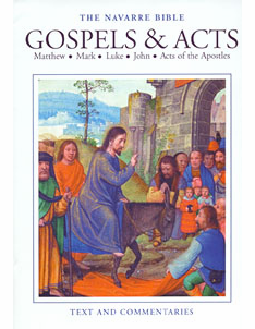NAVARRE BIBLE - GOSPELS & ACTS