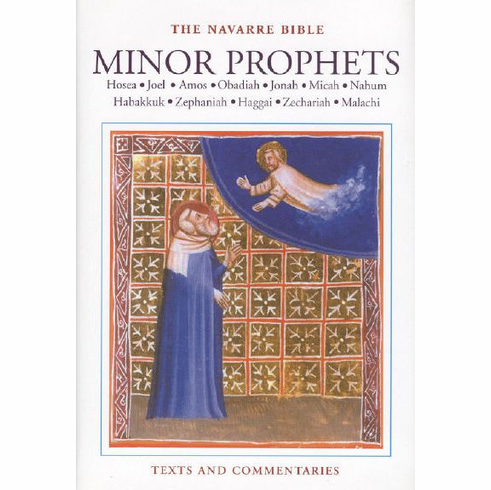 NAVARRE BIBLE - MINOR PROPHETS