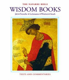 NAVARRE BIBLE - WISDOM BOOKS