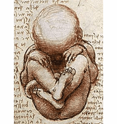 PRO-LIFE