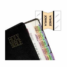 RAINBOW BIBLE TABS