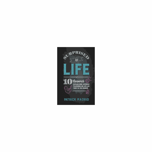 SUPRISED BY LIFE: 11 CONVERTS EXPLAIN HOW CATHOLIC TEACHINGS ON LIFE LED THEM TO THE CHURCH