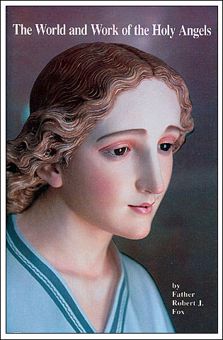 THE WORLD AND WORK OF THE HOLY ANGELS