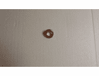 Antenna Bezel