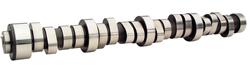 Camshafts & Valvetrain