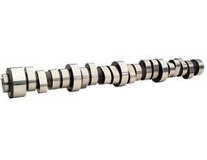 Camshafts & Valvetrain