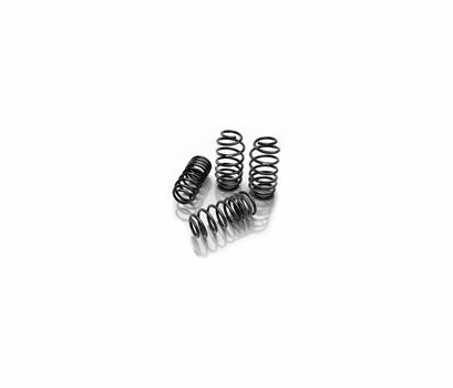 Eibach Pro-Kit Lowering Springs
