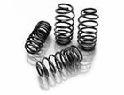 Eibach Pro-Kit Lowering Springs