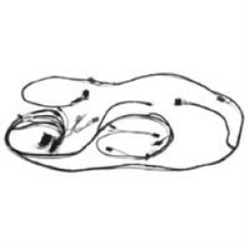 Engine / Forward light Harness