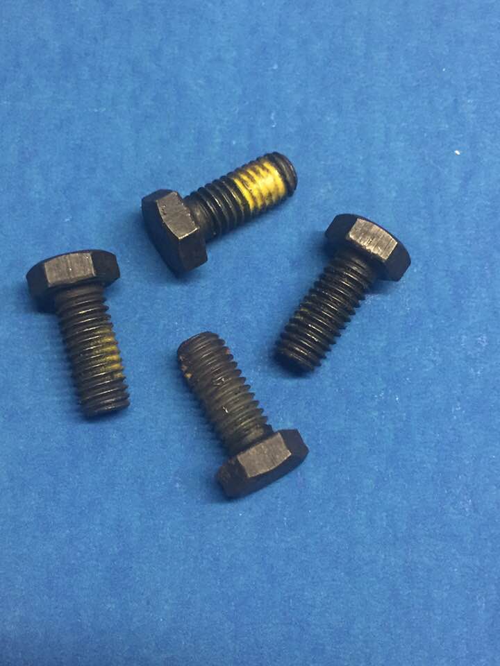 AMK Restoration Water Pump Bolts