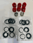 Ferrari Testarosa - Rear Calipers Rstoration Kit