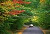 Early Fall Offers