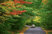 Early Autumn Sales