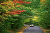 Early Autumn Sales
