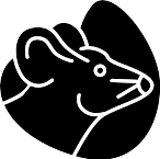 The Village Rat 