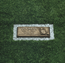 Bronze Pet Memorial