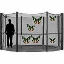 Butterflies For Food and Profit