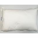 Choice Hotel Pillows blue label