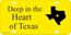 Novelty Texas License Plate