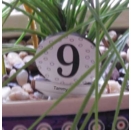 Custom Table Numbers For Weddings, Parties, Events, Bar or Bat Mitzvahs, Etc.