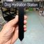 Dog Hydration Station Sign
