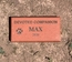 Devoted Companion Engraved Dog Memorial Brick With Paw