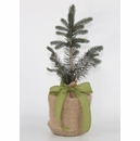 Gift Tree