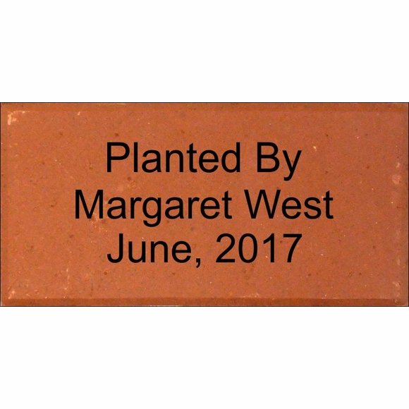Laser Engraved Bricks