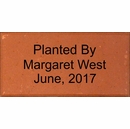 Laser Engraved Bricks