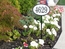 Lawn Mount Address Plaque - Oval House Number Sign