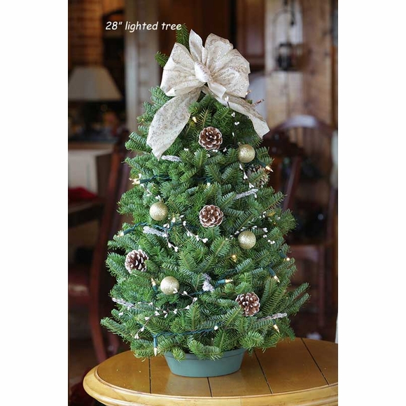 Live Decorated Balsam Tabletop Christmas Tree