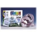 MR16 Full Spectrum Light Bulb