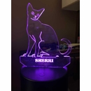 Personalized Cat Night Light or Table Decoration
