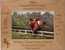 Personalized Horse Equestrian Competition Picture Frame