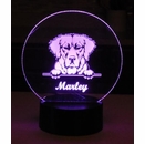 Personalized Dog Image Night Light or Table Decoration