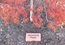 Engraved Garden Brick