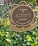 Welcome to Garden Plaque - Flower Shape Sign Personalized With Name and Here We Grow Again