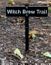 Personalized Yard Signs for Halloween