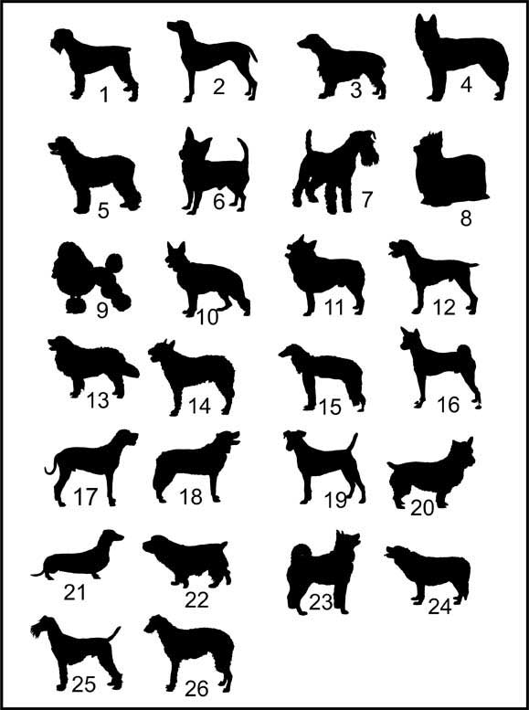 Personalized Pet Memorial Wall Hanging or Tabletop