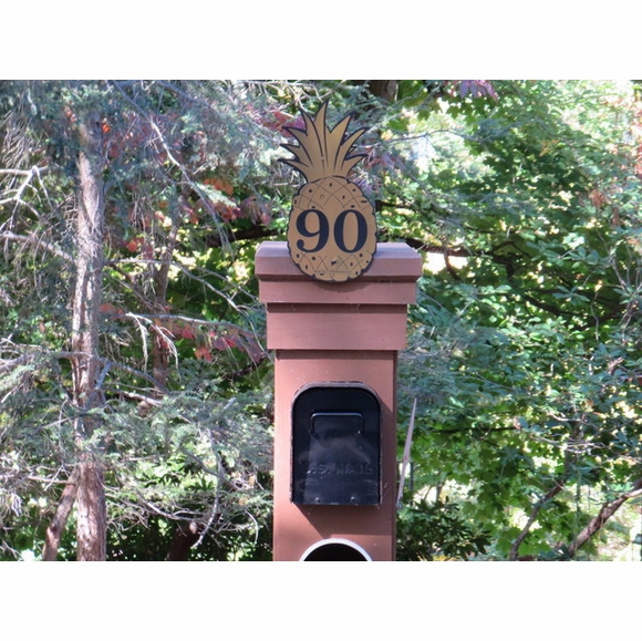 Pineapple Shape House Number Sign