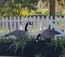 Realistic Canada Goose Garden Statue - Standing & Feeding Geese Set