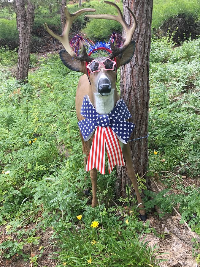 Realistic Whitetail Deer Statue Buck Decoy