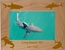 Shark Personalized Picture Frame