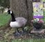 Realistic Standing Goose Garden Statue
