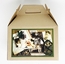 Sympathy Tree Seeds Of Life Kit - Includes Pot, Soil, Oak Seeds, and Grow Instructions
