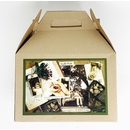Sympathy Tree Seeds Of Life Kit - Includes Pot, Soil, Oak Seeds, and Grow Instructions