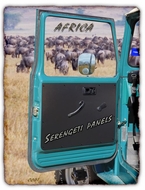 Door Panel - Serengeti