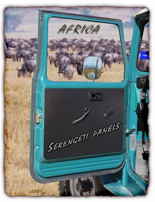 Door Panel - Serengeti " title="Door Panel - Serengeti